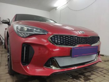 3 489 р. Защитная сетка в бампер (низ, ячейка 3х7 мм) Alfeco Стандарт KIA Stinger (2017-2025) (Хром)  с доставкой в г. Керчь. Увеличить фотографию 3