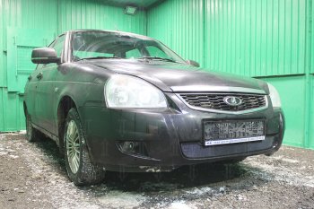 2 259 р. Защитная сетка в бампер (низ, ячейка 3х7 мм) Alfeco Стандарт  Лада Приора ( 2170,  2171,  2172) (2013-2018) седан рестайлинг, универсал рестайлинг, хэтчбек рестайлин (Чёрная)  с доставкой в г. Керчь. Увеличить фотографию 2