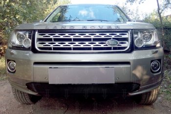 Защитная сетка в бампер (бензин, низ, ячейка 3х7 мм) Alfeco Стандарт Land Rover Freelander  L359 (2010-2012) 1-ый рестайлинг (Чёрная)