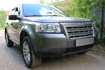 2 899 р. Защитная сетка в бампер (низ, ячейка 3х7 мм) Alfeco Стандарт Land Rover Freelander L359 дорестайлинг (2006-2010) (Чёрная)  с доставкой в г. Керчь. Увеличить фотографию 2