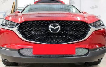 Защитная сетка в бампер (низ, ячейка 3х7 мм) Alfeco Стандарт Mazda CX-30 1 DM (2019-2025) (Хром)