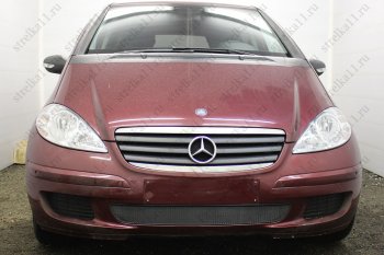 Защитная сетка в бампер (низ, ячейка 3х7 мм) Alfeco Стандарт Mercedes-Benz A class  W169 (2005-2008) дорестайлинг, хэтчбэк 5 дв. (Чёрная)