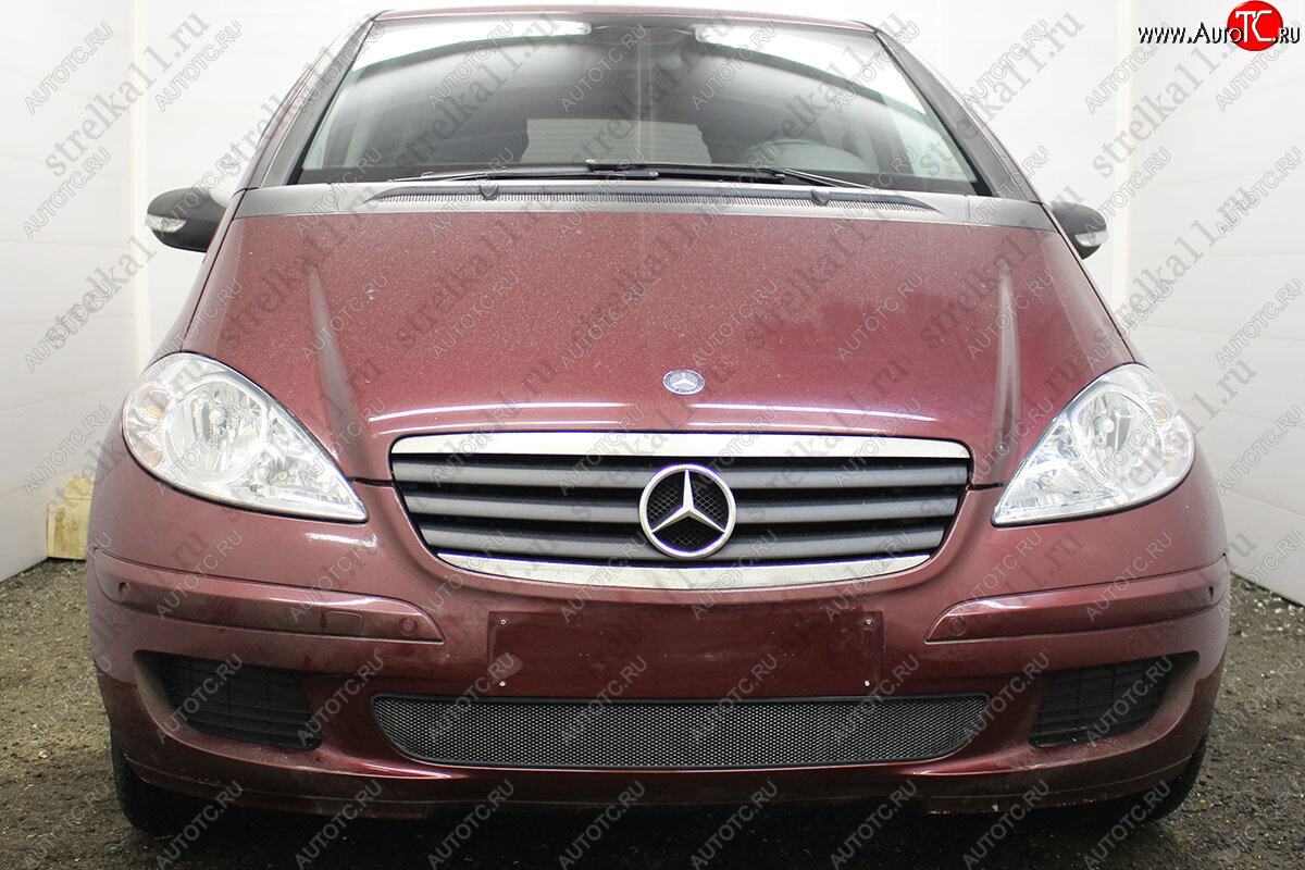 3 079 р. Защитная сетка в бампер (низ, ячейка 3х7 мм) Alfeco Стандарт  Mercedes-Benz A class  W169 (2005-2008) дорестайлинг, хэтчбэк 5 дв. (Чёрная)  с доставкой в г. Керчь