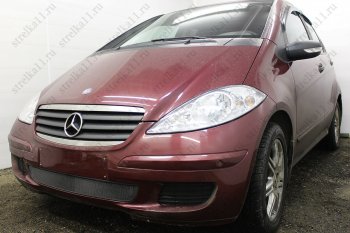 3 079 р. Защитная сетка в бампер (низ, ячейка 3х7 мм) Alfeco Стандарт  Mercedes-Benz A class  W169 (2005-2008) дорестайлинг, хэтчбэк 5 дв. (Чёрная)  с доставкой в г. Керчь. Увеличить фотографию 2