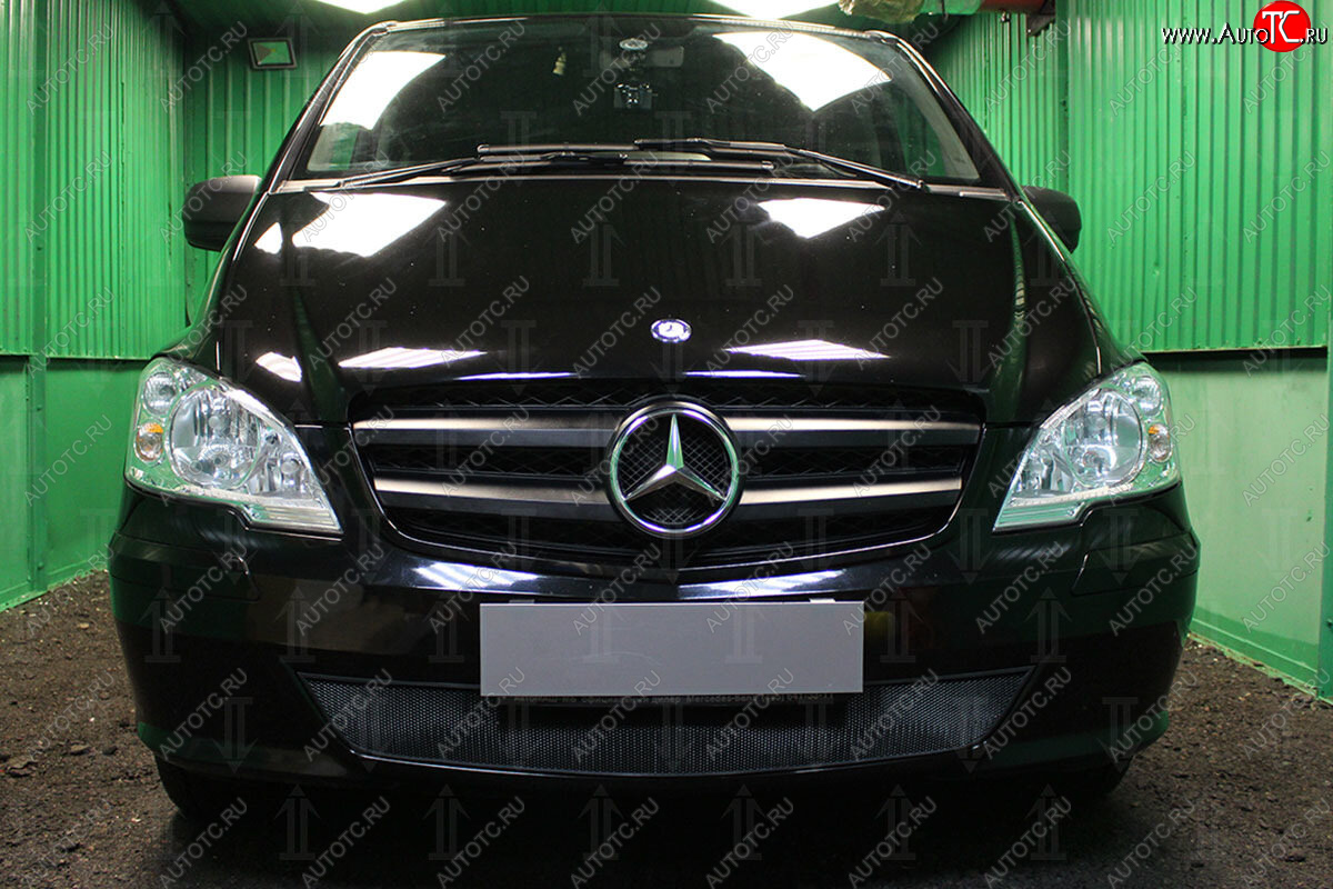 3 079 р. Защитная сетка в бампер (низ, ячейка 3х7 мм) Alfeco Стандарт  Mercedes-Benz Vito  W639 (2010-2014) рестайлинг (Чёрная)  с доставкой в г. Керчь