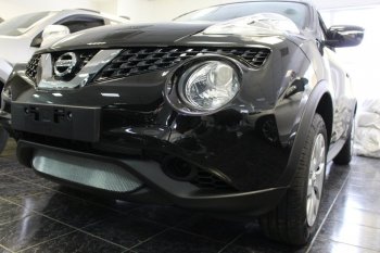 3 179 р. Защитная сетка в бампер (низ, ячейка 3х7 мм) Стрелка11 Стандарт Nissan Juke 1 YF15 рестайлинг (2014-2020) (Хром)  с доставкой в г. Керчь. Увеличить фотографию 3