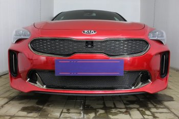 6 249 р. Защитная сетка в бампер (верх, ячейка 4х10 мм) Alfeco Премиум KIA Stinger (2017-2025) (Чёрная)  с доставкой в г. Керчь. Увеличить фотографию 4