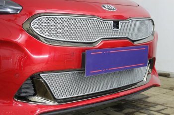 6 299 р. Защитная сетка в бампер (верх, ячейка 4х10 мм) Alfeco Премиум KIA Stinger (2017-2025) (Хром)  с доставкой в г. Керчь. Увеличить фотографию 4