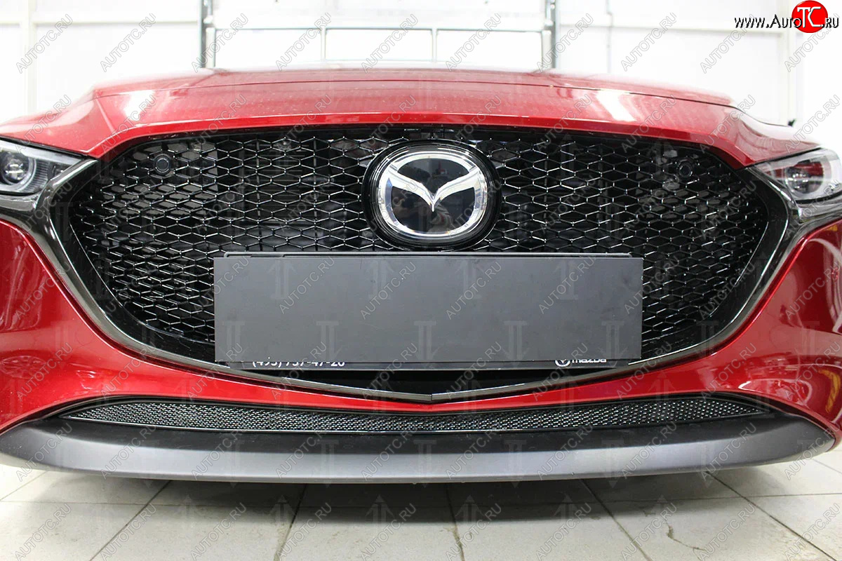 3 759 р. Защитная сетка в бампер (низ, ячейка 4х10 мм) Alfeco Премиум Mazda 3/Axela BP хэтчбэк (2019-2025) (Чёрная)  с доставкой в г. Керчь