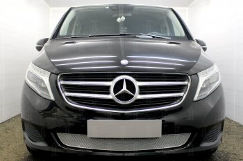 Защитная сетка в бампер (низ, ячейка 4х10 мм) Alfeco Премиум Mercedes-Benz Vito  W447 (2015-2020) дорестайлинг (Хром)