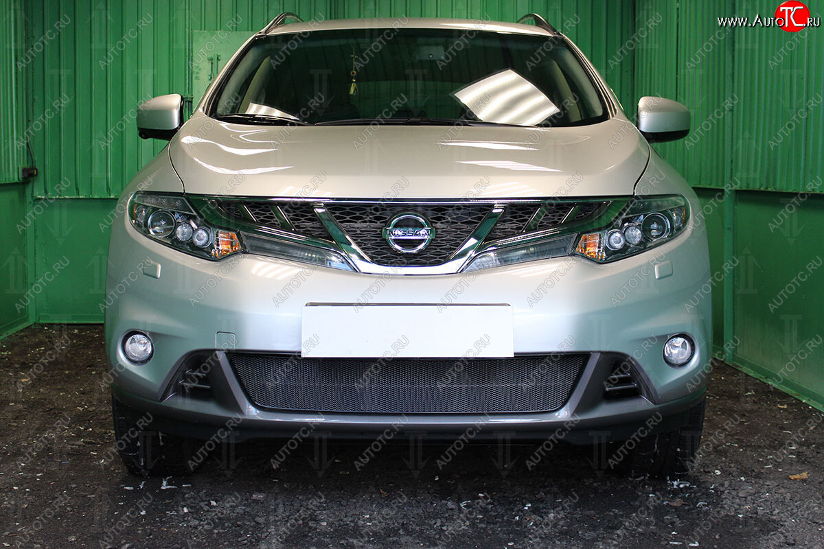 4 299 р. Защитная сетка в бампер (низ, ячейка 4х10 мм) Стрелка11 Премиум  Nissan Murano  2 Z51 (2010-2016) рестайлинг (Чёрная)  с доставкой в г. Керчь