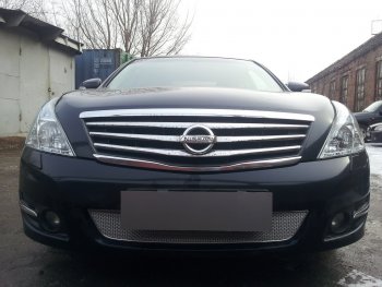 Защитная сетка в бампер (низ, ячейка 4х10 мм) Стрелка11 Премиум Nissan Teana  2 J32 (2008-2014) дорестайлинг, рестайлинг (Хром)