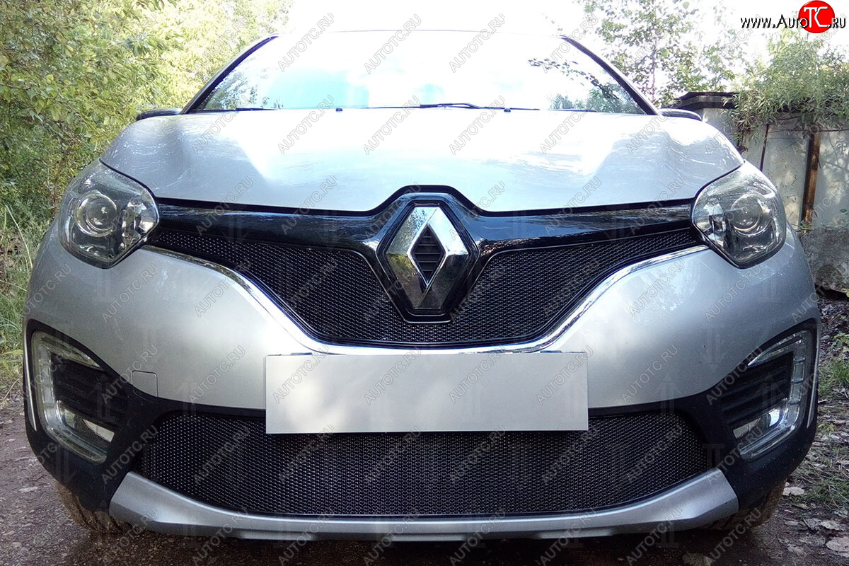 4 649 р. Защитная сетка в бампер (низ, ячейка 4х10 мм) Стрелка11 Премиум Renault Kaptur дорестайлинг (2016-2020) (Чёрная)  с доставкой в г. Керчь
