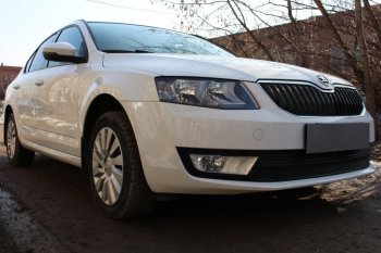 6 999 р. Защитная сетка в бампер (низ, 2 части, компл.Ambition,Elegance,Style, ячейка 4х10 мм) Стрелка11 Премиум  Skoda Octavia  A7 (2012-2017) дорестайлинг лифтбэк, дорестайлинг универсал (Чёрная)  с доставкой в г. Керчь. Увеличить фотографию 2