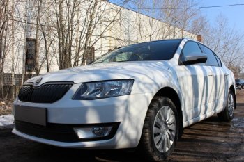 6 999 р. Защитная сетка в бампер (низ, 2 части, компл.Ambition,Elegance,Style, ячейка 4х10 мм) Стрелка11 Премиум  Skoda Octavia  A7 (2012-2017) дорестайлинг лифтбэк, дорестайлинг универсал (Чёрная)  с доставкой в г. Керчь. Увеличить фотографию 3