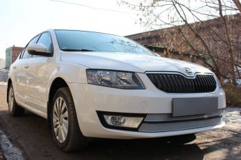 6 999 р. Защитная сетка в бампер (низ, 2 части, компл.Ambition,Elegance,Style, ячейка 4х10 мм) Стрелка11 Премиум Skoda Octavia A7 дорестайлинг лифтбэк (2012-2017) (Хром)  с доставкой в г. Керчь. Увеличить фотографию 2