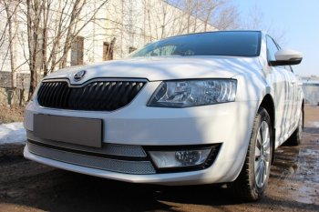 6 999 р. Защитная сетка в бампер (низ, 2 части, компл.Ambition,Elegance,Style, ячейка 4х10 мм) Стрелка11 Премиум Skoda Octavia A7 дорестайлинг лифтбэк (2012-2017) (Хром)  с доставкой в г. Керчь. Увеличить фотографию 3