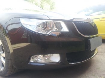 4 299 р. Защитная сетка в бампер (низ, ячейка 4х10 мм) Стрелка11 Премиум Skoda Superb B6 (3T) лифтбэк дорестайлинг (2008-2013) (Чёрная)  с доставкой в г. Керчь. Увеличить фотографию 2