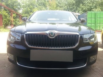 Защитная сетка в бампер (низ, ячейка 4х10 мм) Стрелка11 Премиум Skoda Superb B6 (3T5) универсал доресталийнг (2009-2013) (Чёрная)
