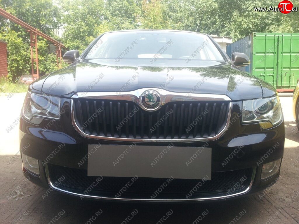 4 299 р. Защитная сетка в бампер (низ, ячейка 4х10 мм) Стрелка11 Премиум Skoda Superb B6 (3T) лифтбэк дорестайлинг (2008-2013) (Чёрная)  с доставкой в г. Керчь