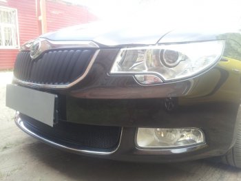 4 299 р. Защитная сетка в бампер (низ, ячейка 4х10 мм) Стрелка11 Премиум Skoda Superb B6 (3T) лифтбэк дорестайлинг (2008-2013) (Чёрная)  с доставкой в г. Керчь. Увеличить фотографию 3
