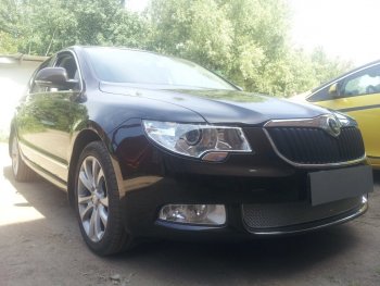 4 299 р. Защитная сетка в бампер (низ, ячейка 4х10 мм) Стрелка11 Премиум  Skoda Superb ( B6 (3T),  B6 (3T5)) (2008-2013) лифтбэк дорестайлинг, универсал доресталийнг (Хром)  с доставкой в г. Керчь. Увеличить фотографию 2