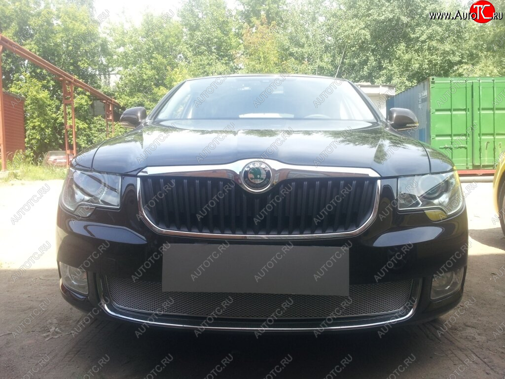 4 299 р. Защитная сетка в бампер (низ, ячейка 4х10 мм) Стрелка11 Премиум  Skoda Superb ( B6 (3T),  B6 (3T5)) (2008-2013) лифтбэк дорестайлинг, универсал доресталийнг (Хром)  с доставкой в г. Керчь