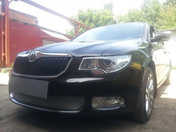 4 299 р. Защитная сетка в бампер (низ, ячейка 4х10 мм) Стрелка11 Премиум  Skoda Superb ( B6 (3T),  B6 (3T5)) (2008-2013) лифтбэк дорестайлинг, универсал доресталийнг (Хром)  с доставкой в г. Керчь. Увеличить фотографию 3
