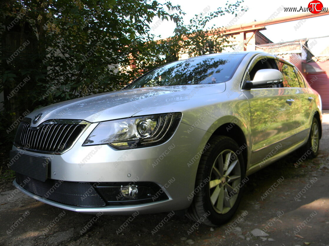 4 649 р. Защитная сетка в бампер (низ, ячейка 4х10 мм) Стрелка11 Премиум Skoda Superb B6 (3T5) универсал рестайлинг (2013-2015) (Чёрная)  с доставкой в г. Керчь