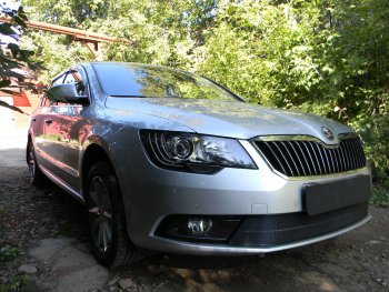 4 649 р. Защитная сетка в бампер (низ, ячейка 4х10 мм) Стрелка11 Премиум Skoda Superb B6 (3T5) универсал рестайлинг (2013-2015) (Чёрная)  с доставкой в г. Керчь. Увеличить фотографию 3
