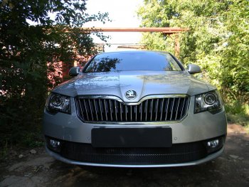 4 649 р. Защитная сетка в бампер (низ, ячейка 4х10 мм) Стрелка11 Премиум Skoda Superb B6 (3T5) универсал рестайлинг (2013-2015) (Чёрная)  с доставкой в г. Керчь. Увеличить фотографию 2
