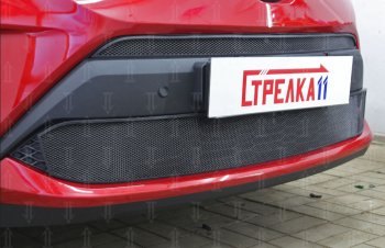Защитная сетка в бампер (низ, ячейка 4х10 мм) Стрелка11 Премиум Toyota C-HR  NGX10, ZGX10 (2019-2025) рестайлинг (Чёрная)
