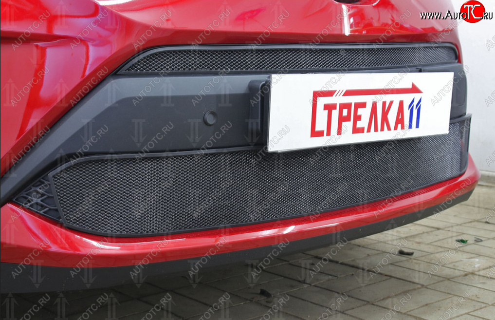 5 499 р. Защитная сетка в бампер (низ, ячейка 4х10 мм) Стрелка11 Премиум Toyota C-HR NGX10, ZGX10 рестайлинг (2019-2025) (Чёрная)  с доставкой в г. Керчь