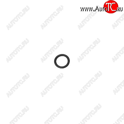 25 р. Кольцо уплотнительное болта клапанной крышки 6CT 3910824 CUMMINS 13596  с доставкой в г. Керчь