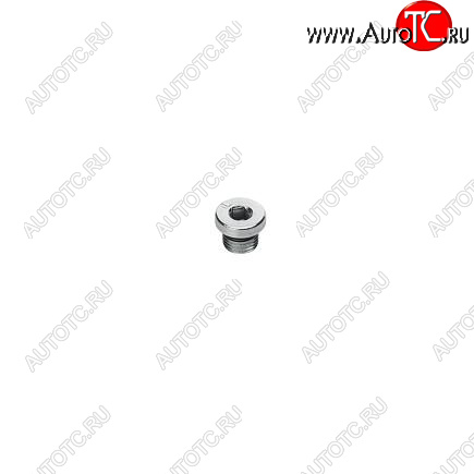 379 р. Заглушка резьбовая ISF 2.8 5259561 CUMMINS 13835  с доставкой в г. Керчь