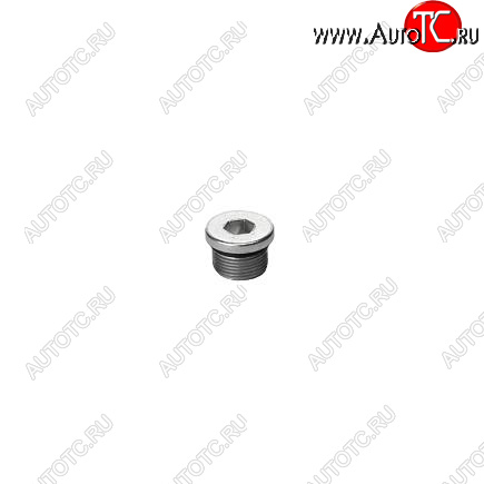 389 р. Заглушка резьбовая ISF 2.8 5267095 CUMMINS 13837  с доставкой в г. Керчь