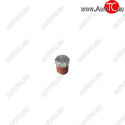 30 р. Заглушка резьбовая (10мм) 3906619 CUMMINS 13793  с доставкой в г. Керчь