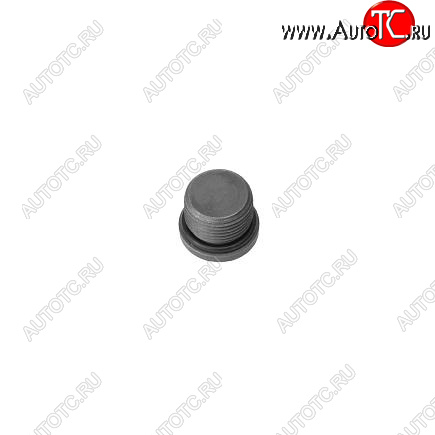 259 р. Заглушка резьбовая ГБЦ, корпуса термостата ISF 3.8 3678611 CUMMINS 13558  с доставкой в г. Керчь