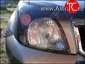 1 199 р. Защита передних фар карбоновая TOYOTA LAND CRUISER PRADO 2001-2008, NLD.STOLCP0123  Тойота Ленд крузер прадо SIM nld.stolcp0123  с доставкой в г. Керчь