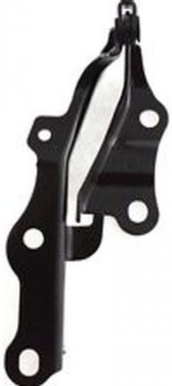 PRADO ПЕТЛЯ КАПОТА ЛЕВ (Китай) BODYPARTS typrd03-340-l