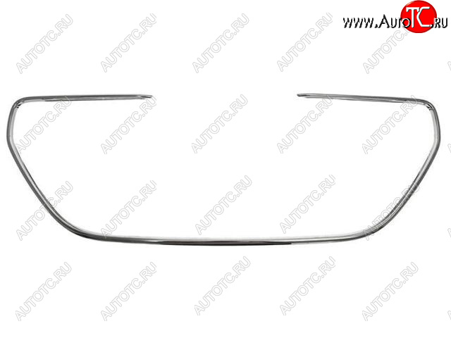 3 399 р. 301 МОЛДИНГ РЕШЕТКИ РАДИАТОРА (Китай) BODYPARTS pg30113-120  с доставкой в г. Керчь