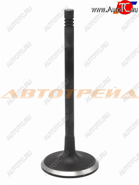 419 р. Клапан впускной (1 шт) CHEVROLET AVEOLACETTIDAEWOO GENTRANUBIRA 1,4 03- SHINHAN 25182287  с доставкой в г. Керчь