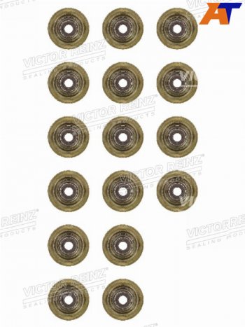 3 269 р. Комплект маслосъёмных колпачков CITROENPEUGEOTBMW 1(F20)(F21)C3C4C5207308 5F45FY5FD5FVN1 VICTOR REINZ 12-37621-01  с доставкой в г. Керчь. Увеличить фотографию 1