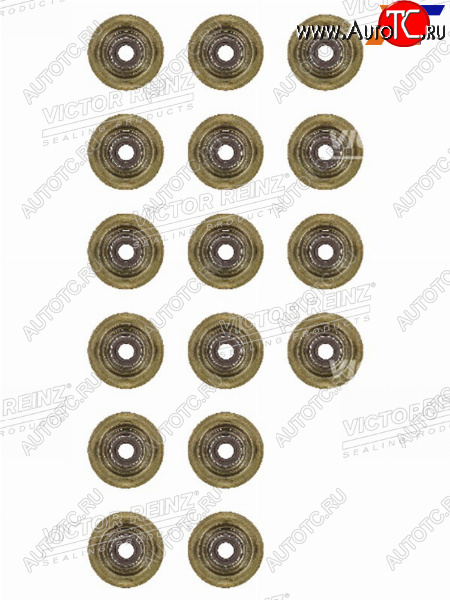 3 269 р. Комплект маслосъёмных колпачков CITROENPEUGEOTBMW 1(F20)(F21)C3C4C5207308 5F45FY5FD5FVN1 VICTOR REINZ 12-37621-01  с доставкой в г. Керчь
