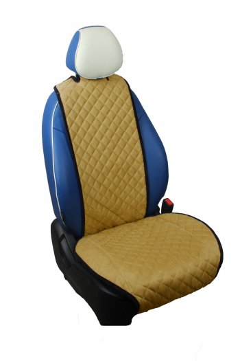 RS  rs078