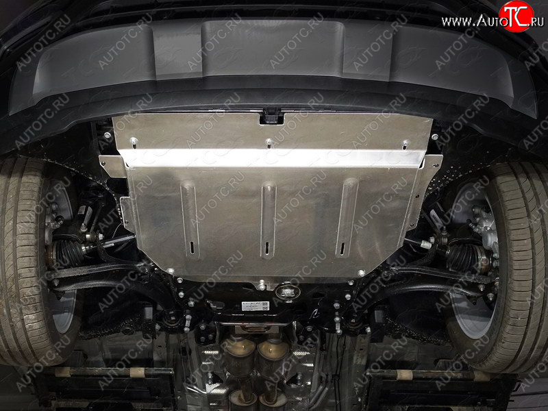 11 399 р. Защита картера и КПП ТСС Тюнинг  Volkswagen Teramont  CA1 (2016-2020) дорестайлинг (алюминий 4 мм)  с доставкой в г. Керчь
