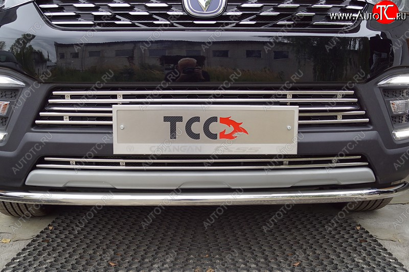 3 299 р. Декоративная вставка переднего бампера (2WD 1.5T) ТСС Тюнинг  Changan CS55 (2018-2025) рестайлинг (d 12 мм)  с доставкой в г. Керчь