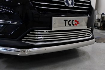 Декоративная вставка переднего бампера ТСС Тюнинг Changan CS75 (2018-2022) 1-ый рестайлинг (d 16 мм)