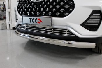 Декоративная вставка в бампер ТСС Тюнинг Chery Tiggo 7 PRO (2019-2025) (d 12 мм)