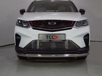 Защита переднего бампера нижняя d60,3 мм ТСС Тюнинг Geely Coolray SX11 дорестайлинг (2018-2023) (нержавейка)